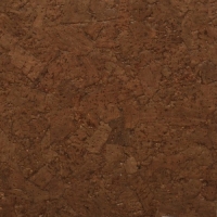 Petra Copper